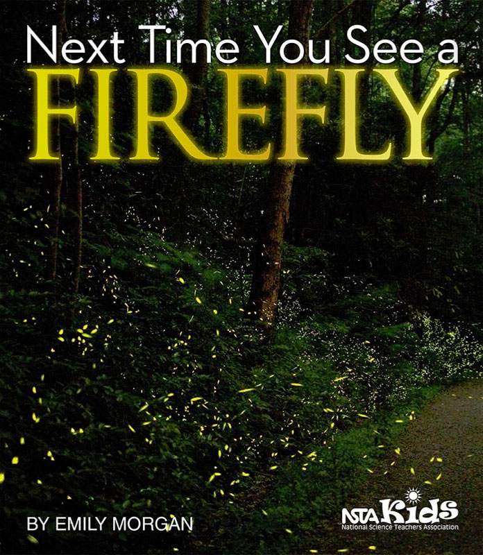 Next Time You See a  Firefly