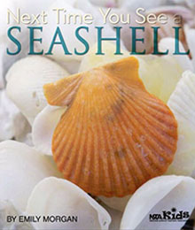 Next Time You See a SEASHELL
